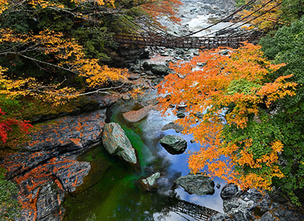 三好市（徳島県)
